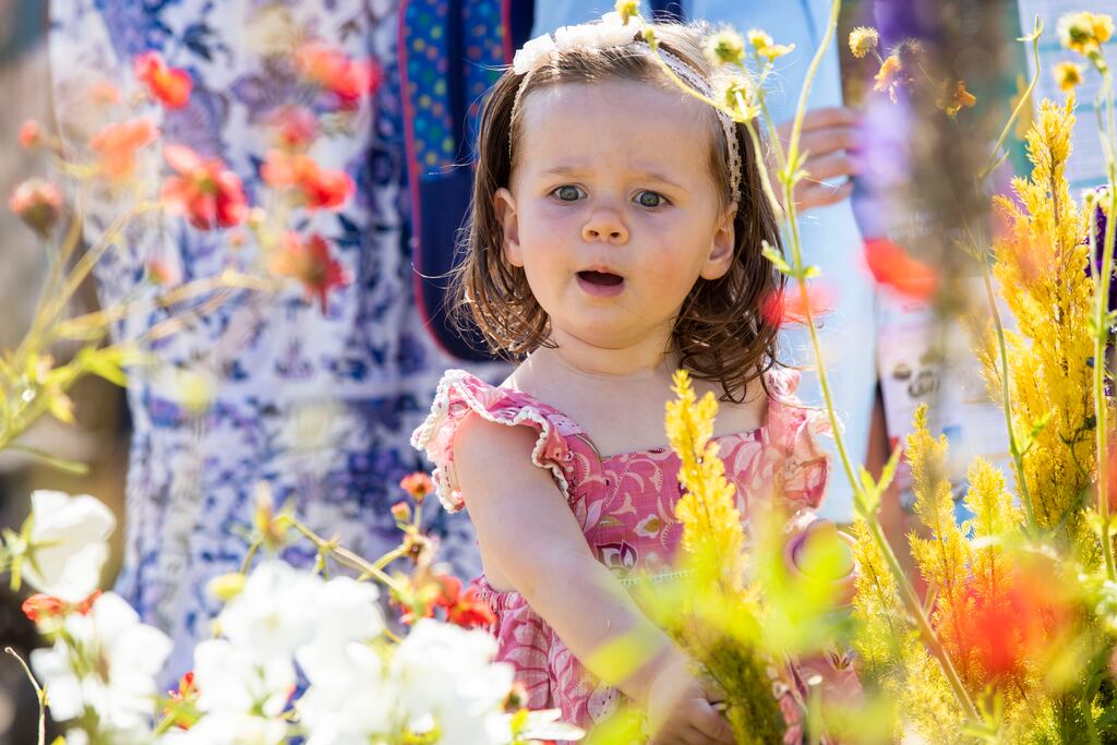 Róisín McCann (aged 1 and half) from Dublin at this year's Bloom gardening festival. Organiser Bord Bia paid Ticketmaster almost €480,000 over four years for selling tickets to the show. Photograph: Tom Honan