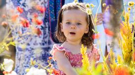 Bloom organisers paid Ticketmaster almost €480,000 over four years