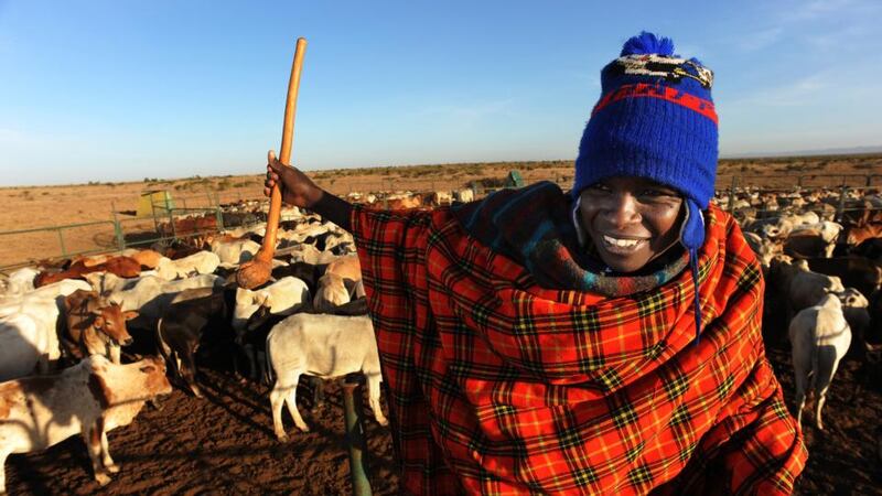 A young herder enters a boma before releasing the cattle. Photograph: Lar Boland