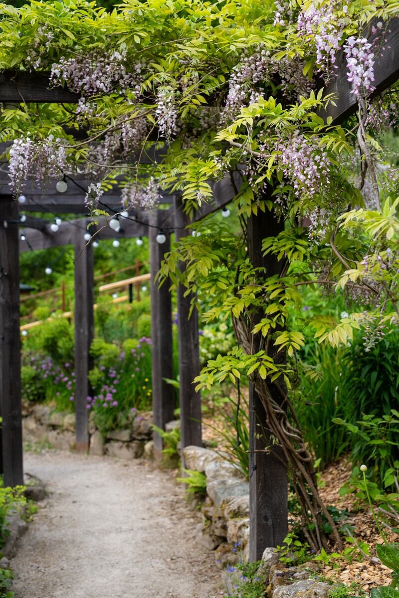 The gardens at The Wicklow Escape