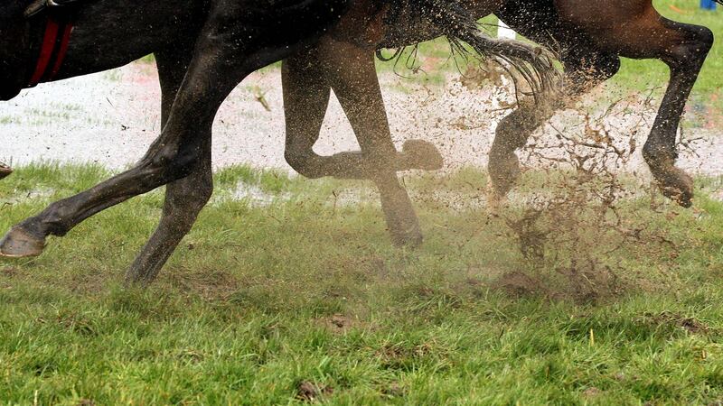Sunday’s card at Punchestown has been postponed and rescheduled for Tuesday. Photograph: Morgan Treacy/Inpho