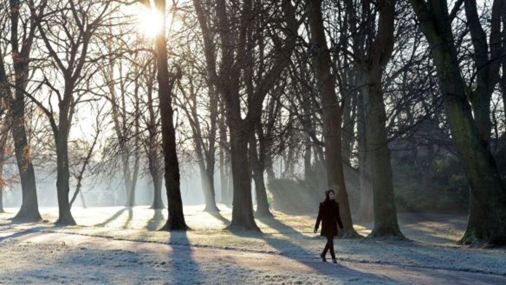 Thursday night is expected to be very cold with severe frost in most places. File photograph: Eric Luke/The Irish Times