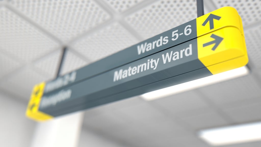 Barrister Ray Motherway told Circuit Court president Mr Justice Raymond Groarke that baby David had been born on September 6th, 2012, in Sligo University Hospital and had died 15 days later