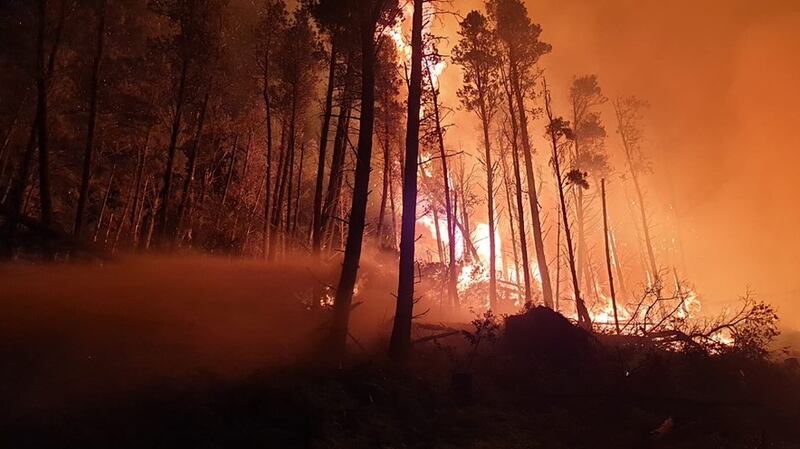 Forest fire rages across Cooley Peninsula in Co Louth on Sunday night. Photograph: Coillte