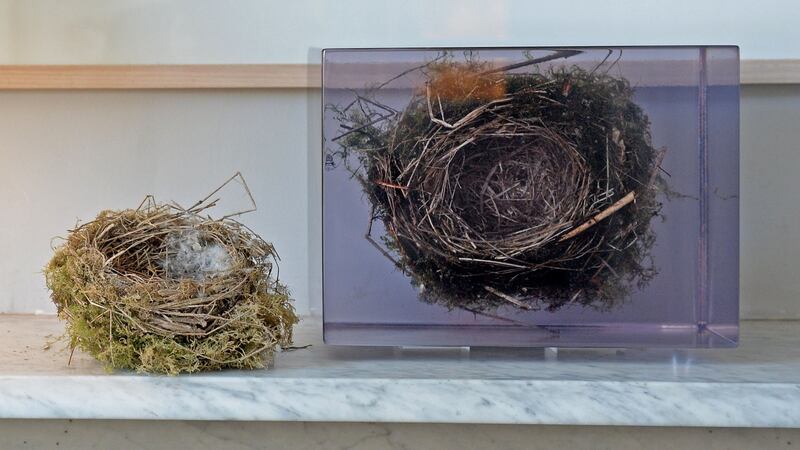Blackbird’s nest in resin, alongside a blackbird’s nest found last winter.  Photograph: Eric Luke