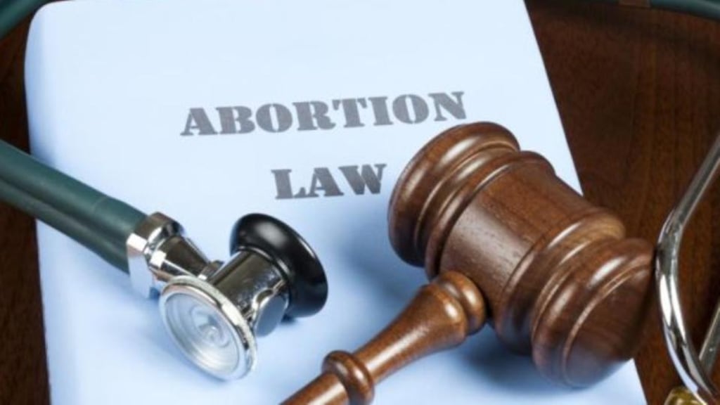 Pro Life campaign deputy chairwoman Cora Sherlock said a right to abortion was “not supported” by the 1948 Universal Declaration on Human Rights.