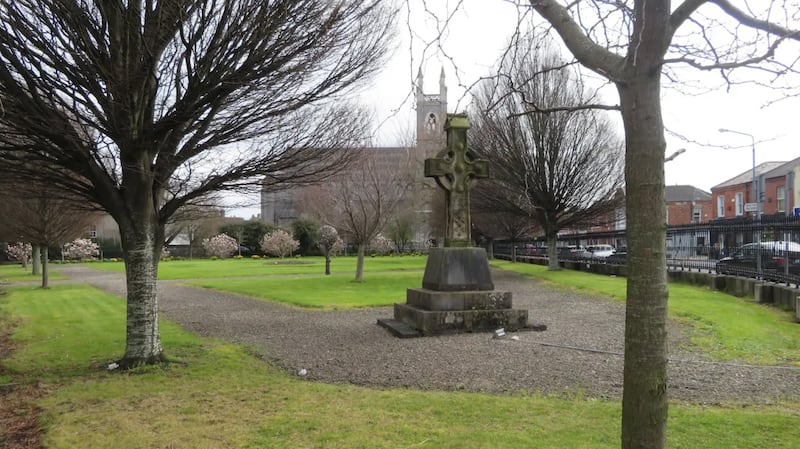 Metrolink Dublin Olivia Kelly feature