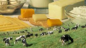 Craft and science: the cheesemakers