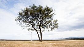 Ireland sees fifth season in a row with above average temperatures — Met Éireann