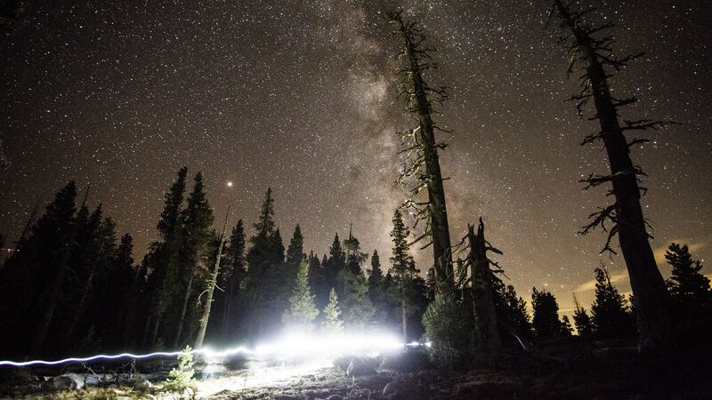 In this long-exposure photograph, Courtney Dauwalter passes Mile 163 of the Tahoe 200 ultramarathon, in El Dorado National Forest in California. Photograph: Max Whittaker/The New York Times