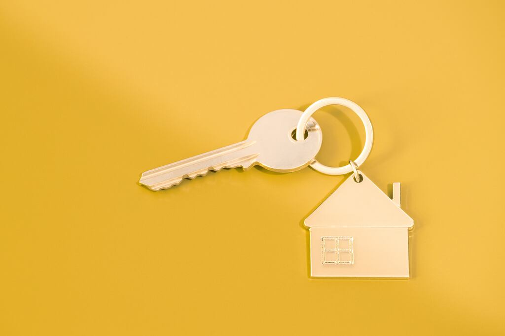 Private landlords are departing the market in droves for very obvious reasons, writes Michael McDowell. Photograph: iStock