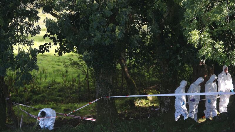 Search for remains of Arlene Arkinson in Co Tyrone ends