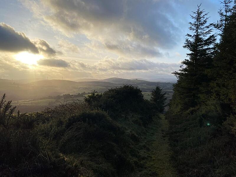 The Slieve Felim mountains of north Tipperary. Photograph: David Brennan