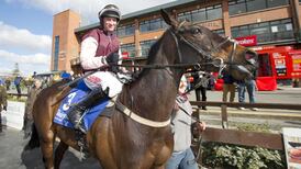 Foildubh denies hot favourite Rubi Ball in Thurles