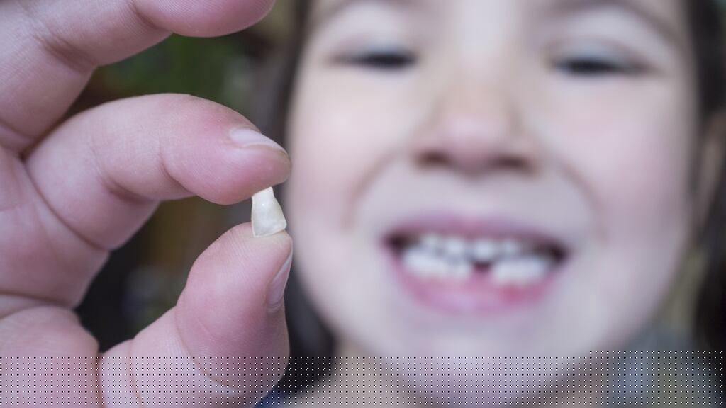 To help your daughter feel more comfortable about her next tooth loss, the first thing you can do is to explain the whole process in a positive child-centred way that she understands and makes sense to her.