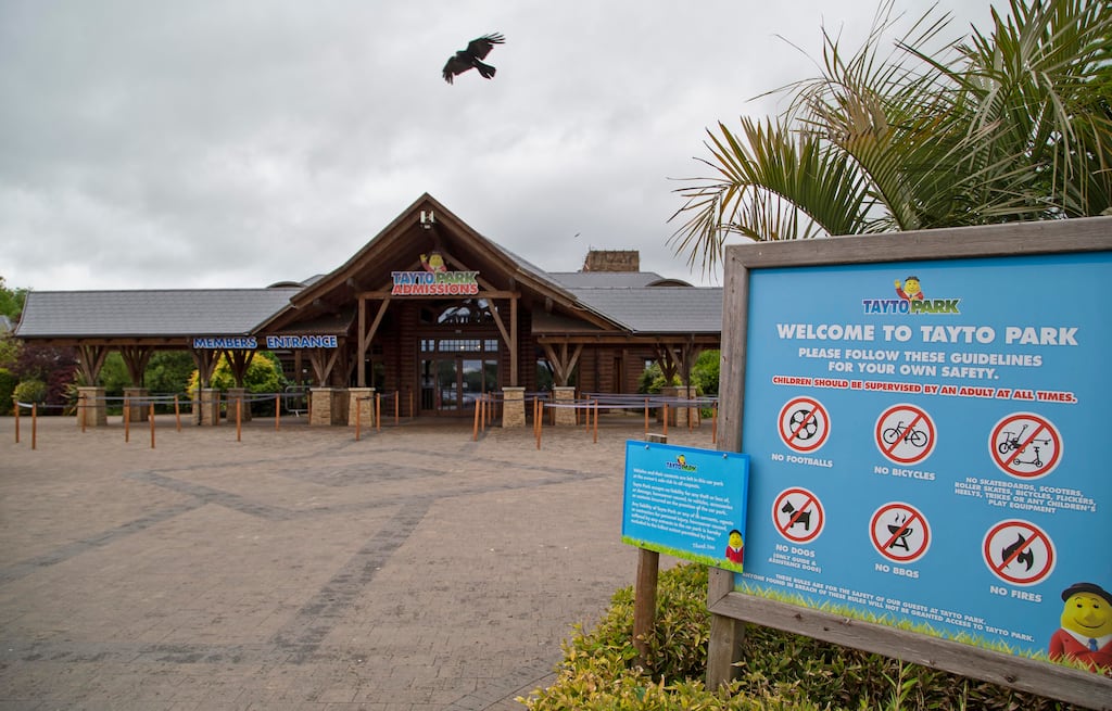 Customers were confined to the gift shop until the bison herd manager arrived and returned the animals to their paddock with the assistance of zookeepers. Photograph: Colin Keegan/Collins Dublin