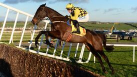 Irish still on course to to rule the roost at Cheltenham
