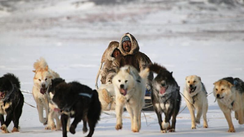 Inuit driving dog team, Lancaster Sound, Baffin Island, Nunavut