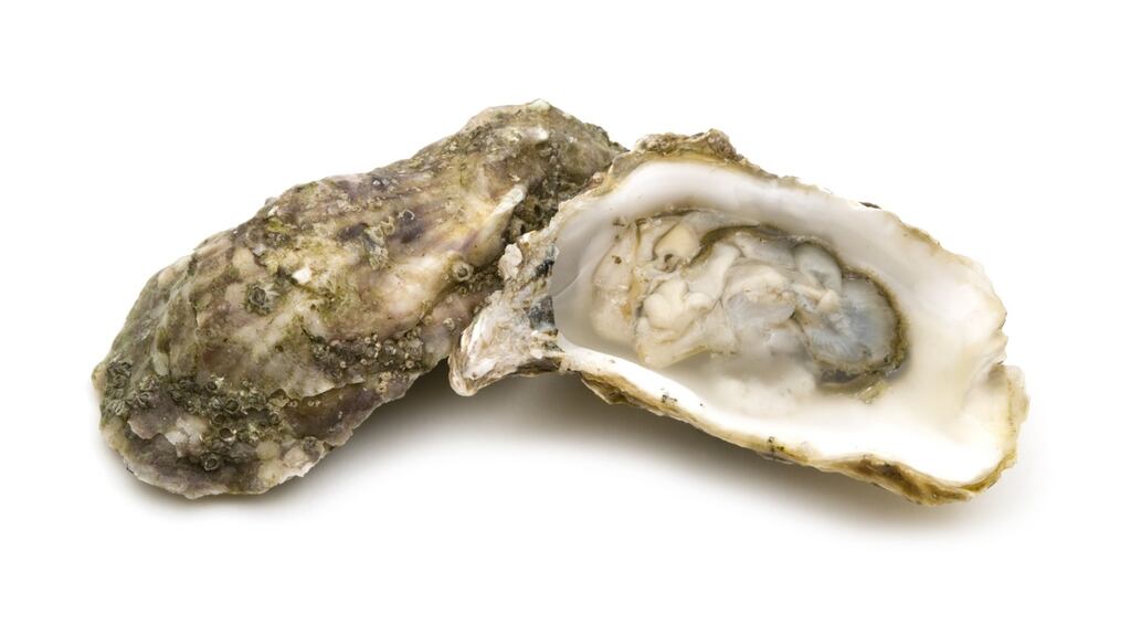 Ireland is your oyster: January is a great month to buy home-farmed shellfish at markets and fishmongers