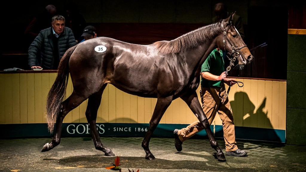 Last year's Orby sale was 'back where it belonged at the top table of European yearling sales', said Goffs' chief executive Henry Beeby. Photograph: Goffs