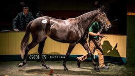 €1.2m yearling sale at Goffs could signal end to 12-year racing rift