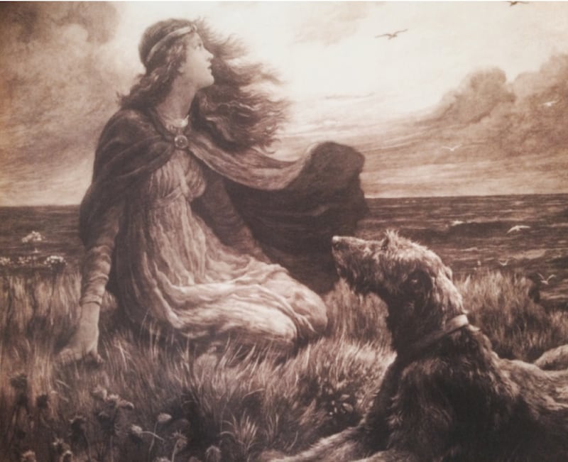 The Irish Wolfhound is often considered to be most “ancient” of Irish dogs – though, it must be said that the claim of the modern breed to that status is somewhat dubious.