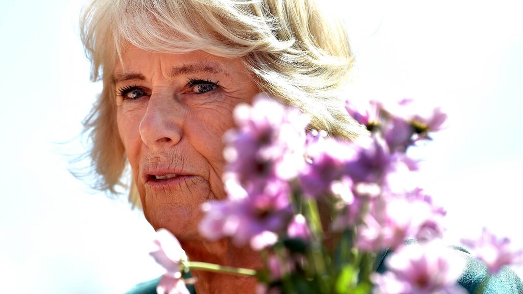 The Duchess of Cornwall indulged her fascination with bees during a visit to Airfield Estate in south Dublin. File photograph: Charles McQuillan/Getty Images