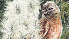 Another Life: ‘I’ll kneel down and bite you with my teeth’