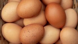 Galway egg firm entitled to injunction against competitor
