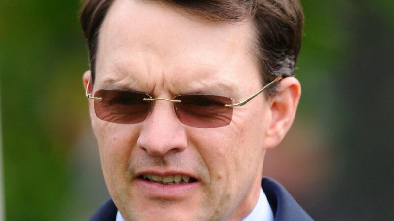 Aidan O’Brien: Australia heads a team of 16 O’Brien runners at Leopardstown. Photograph: Alan Crowhurst/Getty Images
