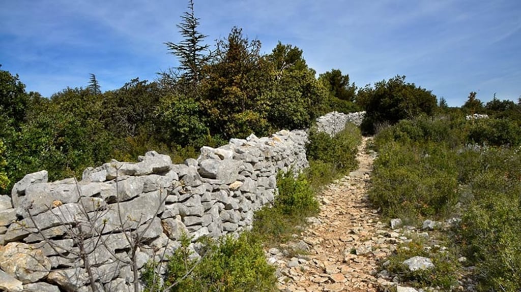 Le Mur de la Peste, or plague wall, in Monts de Vaucluse. Photograph: Courtesy of the Vaucluse Tourist Board