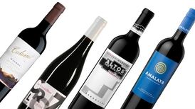 Mighty Malbecs with a softer side