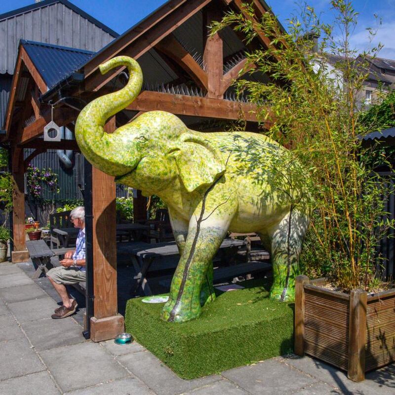 A elephant installation on Spiller’s Lane, Clonakilty. It is part of a project called ‘Jungle City’ aimed at raising awareness of endangered species. Photograph: Daragh Mc Sweeney/Provision