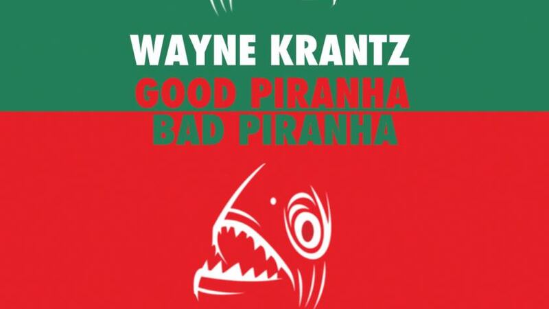 Wayne Krantz: Good Piranha Bad Piranha