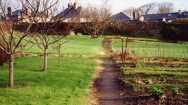 Historic Westport garden sold to private bidder for €500,000