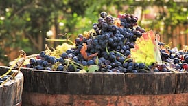 Mid-week tipple: an award-winning wine from Yecla