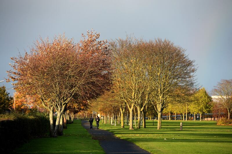 Mellowes Park, Finglas, Dublin 11. Photograph: Dara Mac Dónaill/The Irish Times