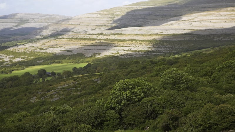 Views towards the rocky scarp slope of the carboniferous limestone upland area of the Burren, near Ballyvaughan, County Clare, Ireland. Photograph: Geography Photos/Universal Images Group/ Getty Images