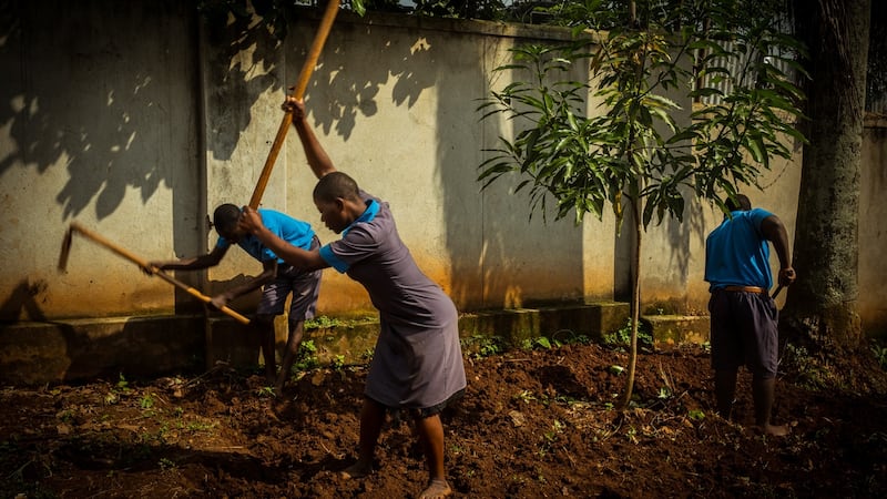 Students at the Aamanyi Centre prepare a plot for planting during their agriculture class. The Aamanyi Centre is run by NGO Embrace Kulture. Photograph: Christopher Hopkins