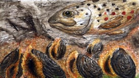 Another Life: 10m larvae, 2 survivors, then 100 years protecting our rivers