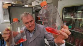 Scientists identify drug that could block multiple sclerosis