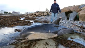 Many lighthouses damaged in storm but still in operation