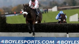 BoyleSports enters British market with Wilf Gilbert purchase