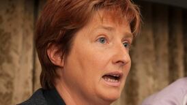 Planning Bill would cause ‘erosion of environmental democracy’, Dáil committee hears