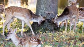 Dry spell on the way as storms give way to calm