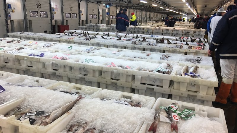 Peterhead fish market, the largest in Europe. Photograph: Peter Geoghegan