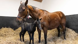 Friday’s Top Stories: Pay deal for 385,000 public sector workers agreed; RTÉ ignored suggestion to cancel Toy Show the Musical after poor ticket sales, report says