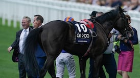 Aidan O’Brien reports Auguste Rodin ‘a bit stiff and sore’ after King George flop