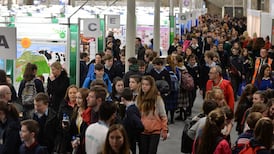 Young Scientist winners: Social and Behavioural Sciences