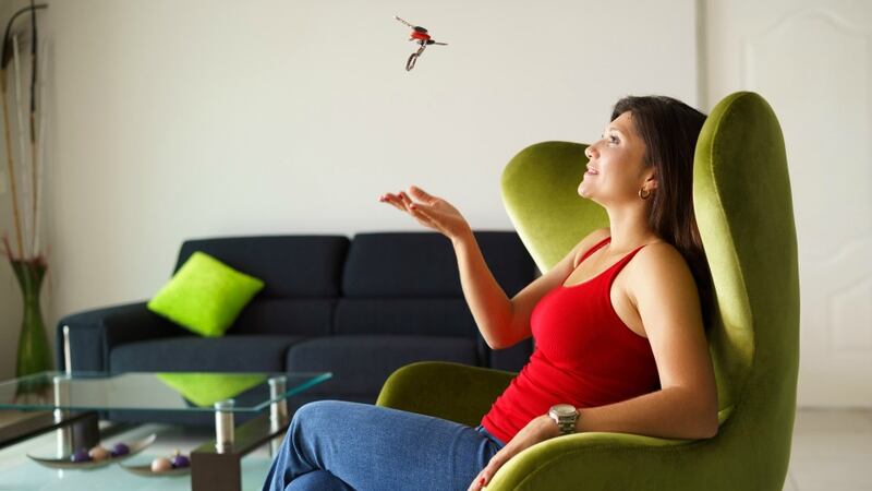 Many people use their cashback to renovate their living spaces, create a great garden or install new kitchens or appliances. Photograph: iStock photos